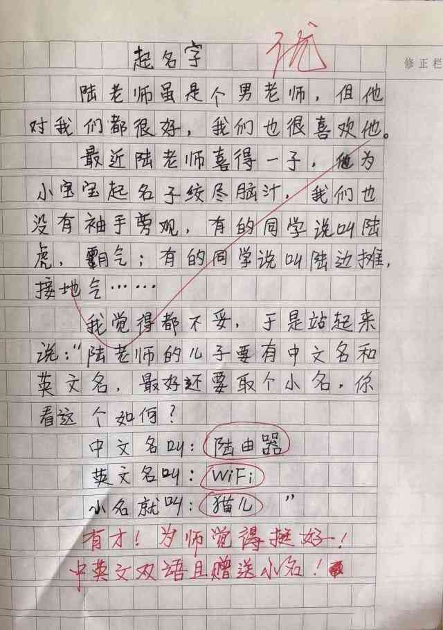 探索英文作文写作风格：提升语言表达与逻辑构思技巧