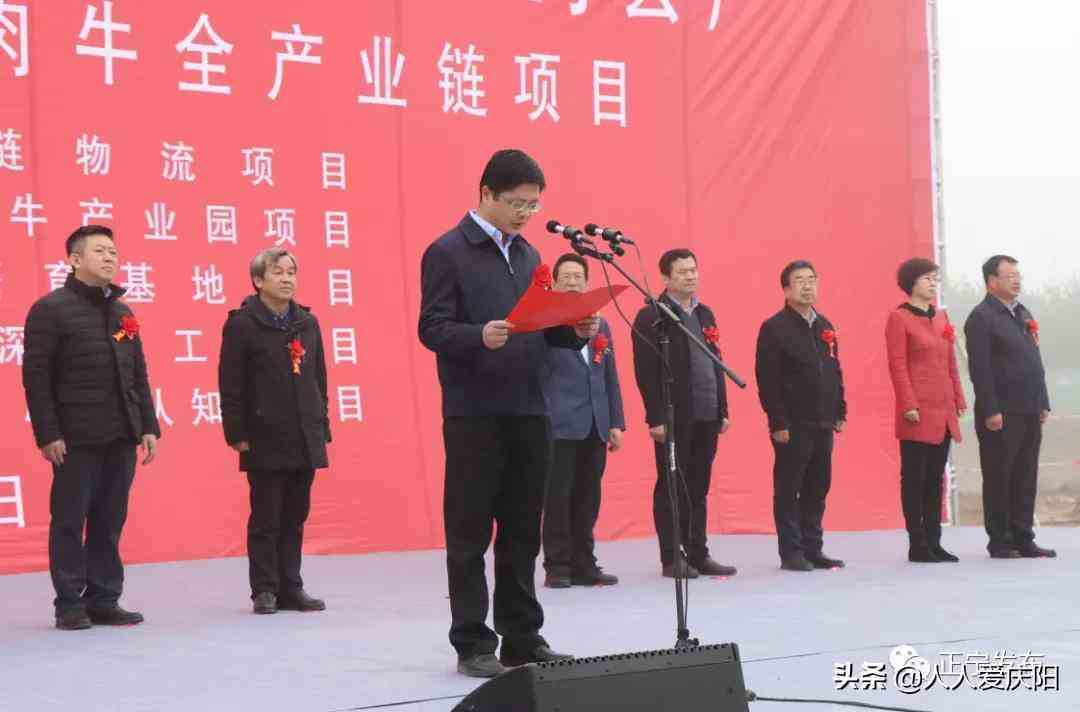 全面招投标流程汇报及项目评审分析材料：涵策略、技巧与风险管控