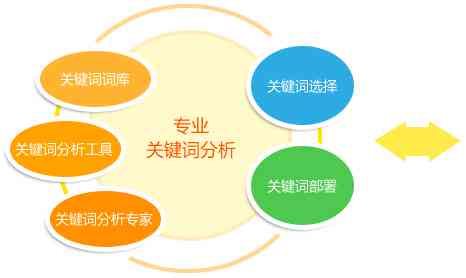 基于关键领域研究的六篇深度分析报告