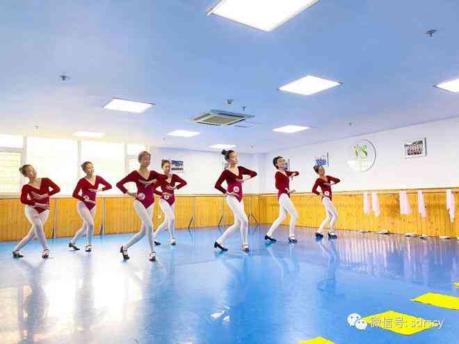 舞动韵律：舞蹈教室创意文字解析与实践