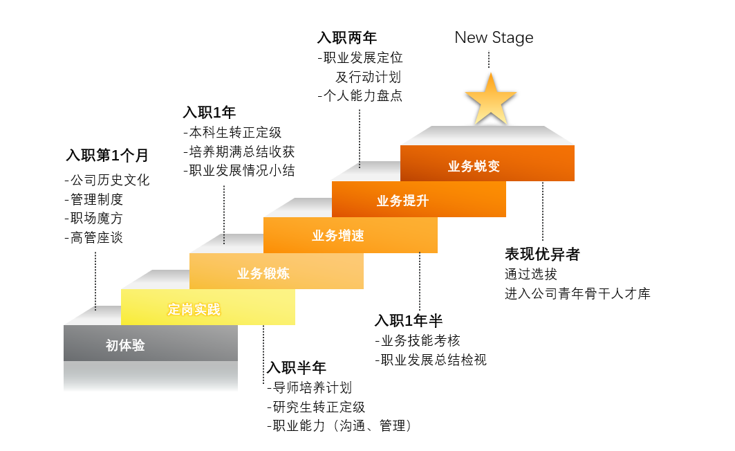 职场自我评估攻略：全面分析工作表现与职业发展路径