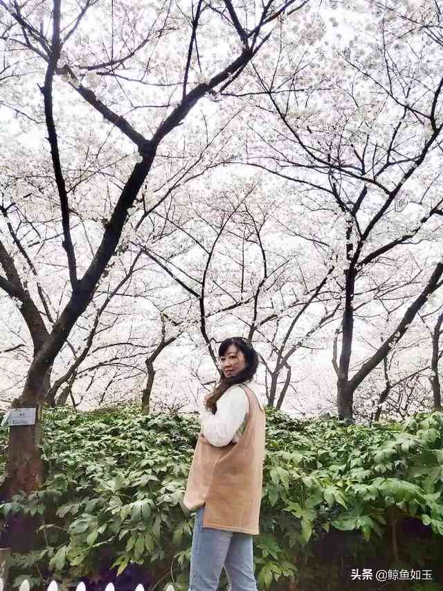 AI助手教你如何拍摄与樱花完美合照的全方位指南