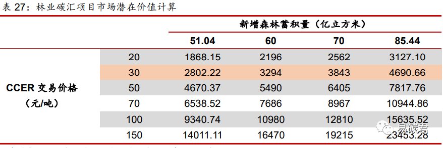 林业碳汇项目综合AI分析报告：从碳汇农场规划到市场投资潜力全面解析
