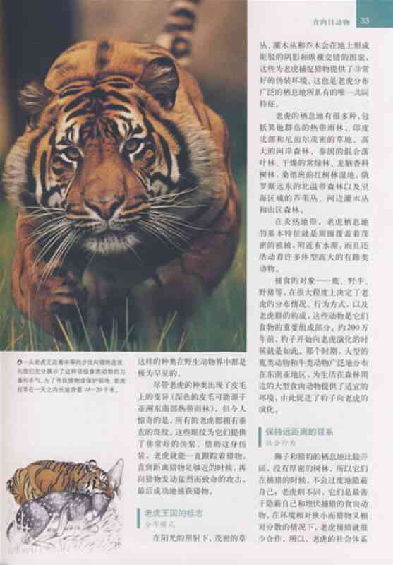动物世界知识宝典：全面收录各类动物解说词与详细信息指南