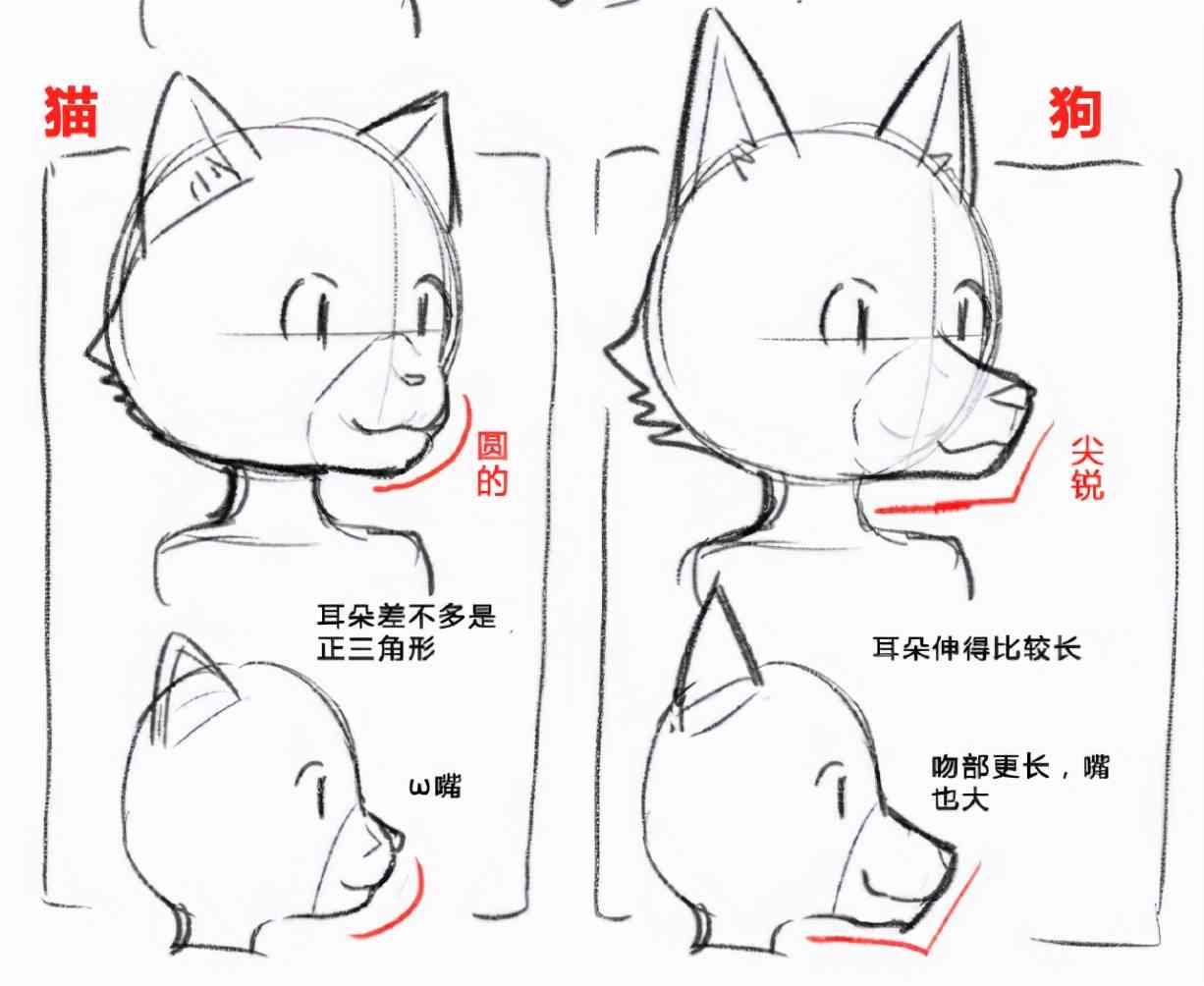 狗狗拟人化绘画技巧与教程：从基础到高级全方位解析