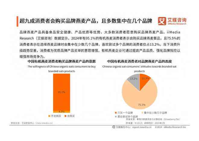 2024年中国AI行业全景洞察报告：技术进展、市场趋势与应用案例深度解析