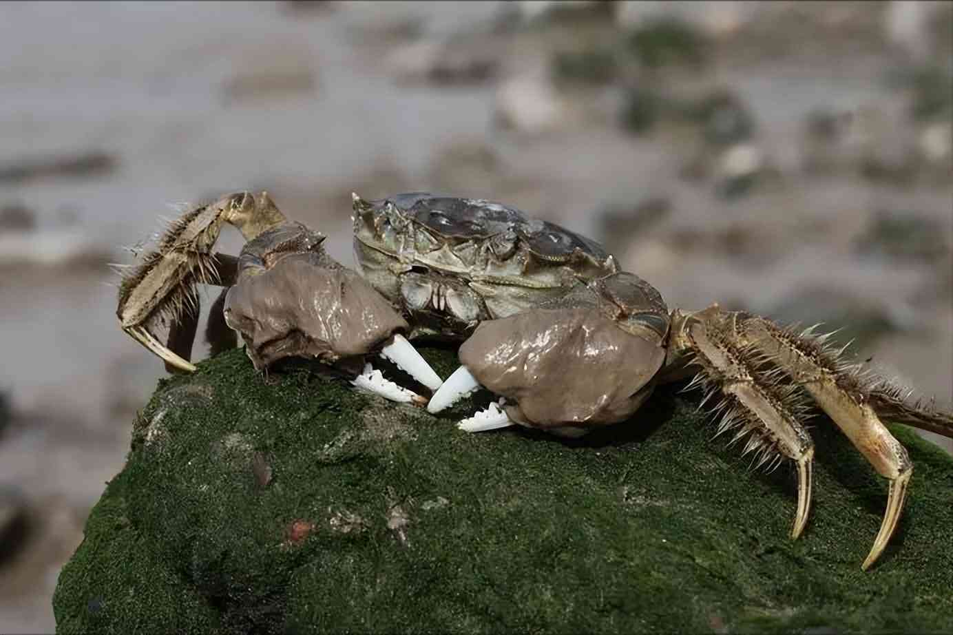 ai人工智能写文案例子
