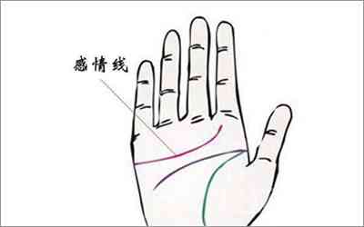 幽默的解说：爱情线手相与动物世界趣味解读
