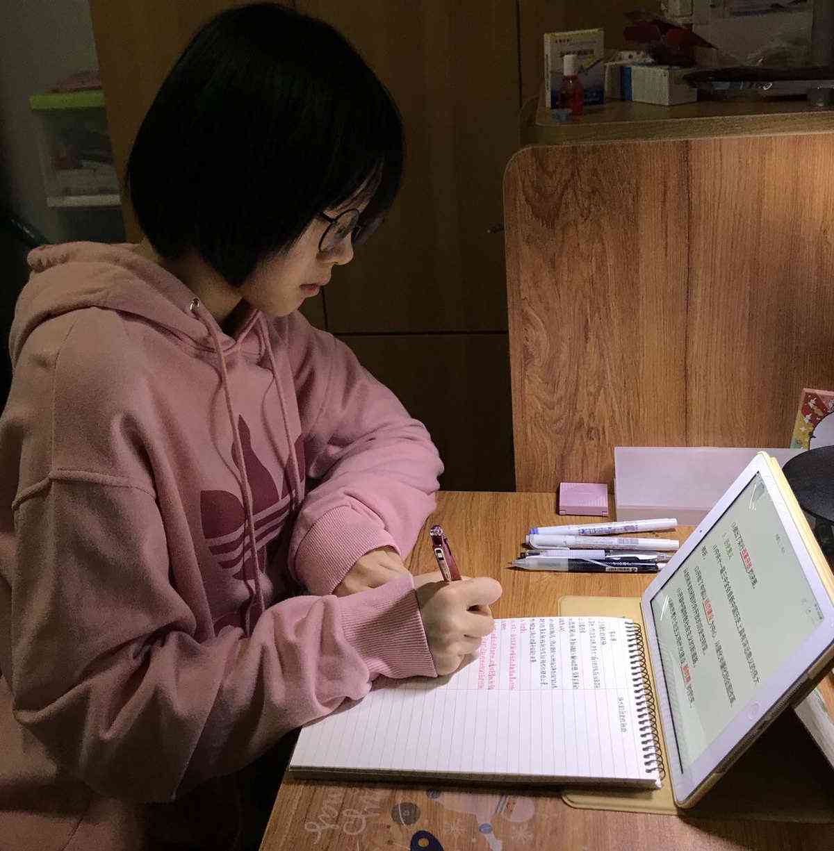 描绘勤奋学专心致志完成课后作业的馨场景