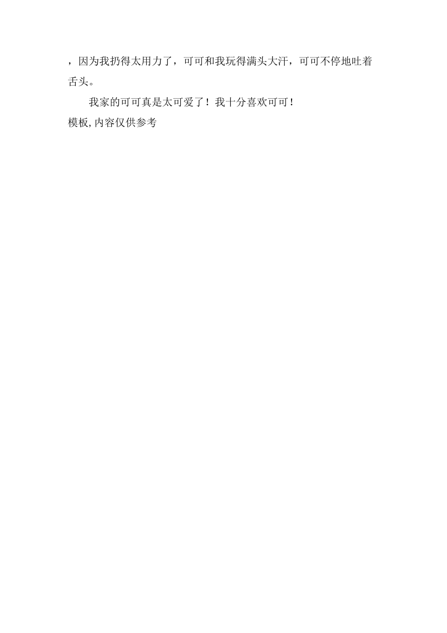 如何撰写关于小狗的作文：涵性格、趣事、训练与关爱全方位指南