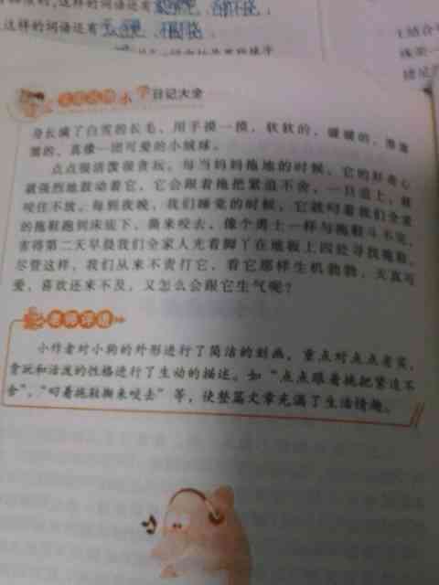 如何撰写关于小狗的作文：涵性格、趣事、训练与关爱全方位指南