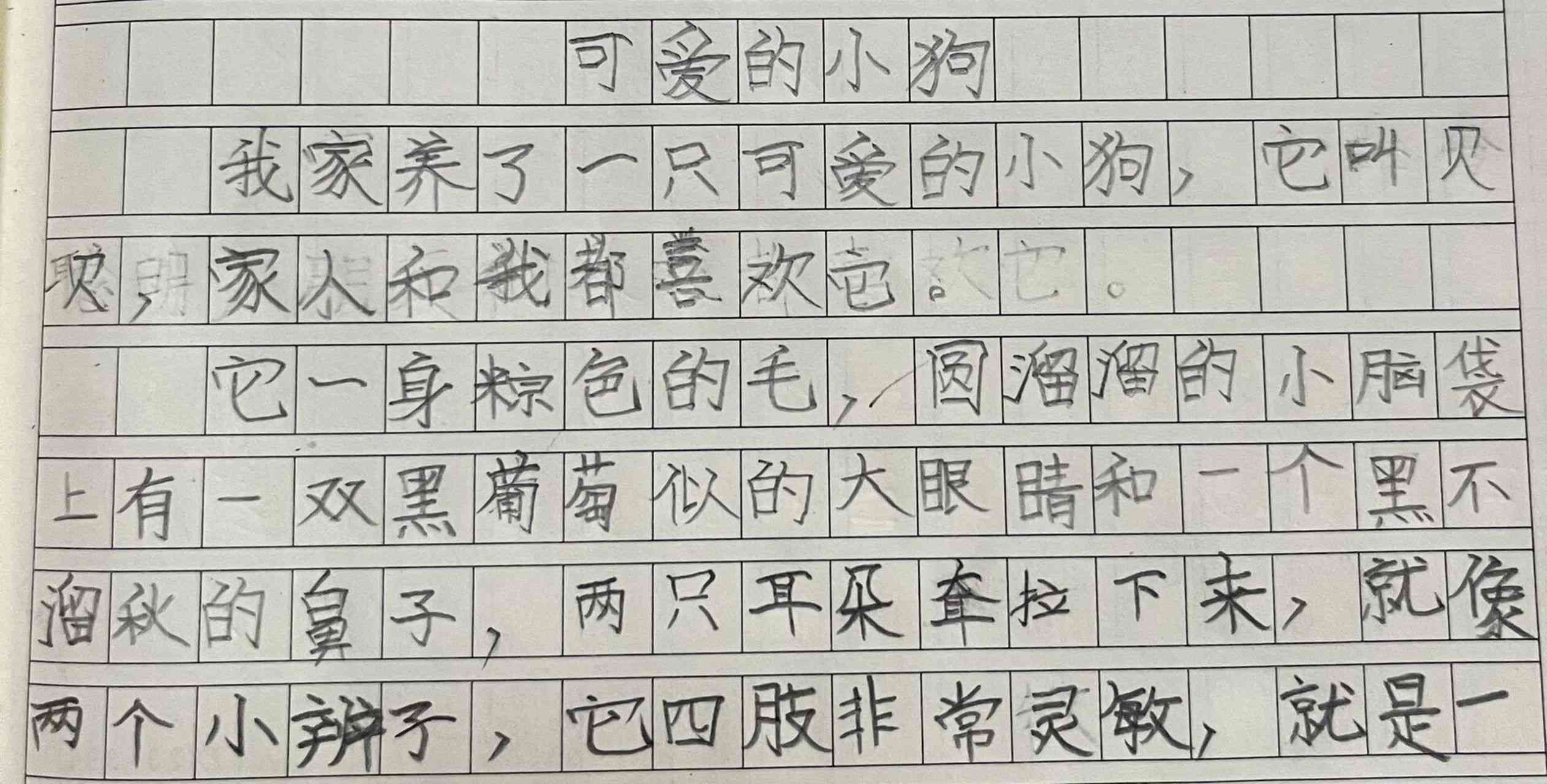 如何撰写关于小狗的作文：涵性格、趣事、训练与关爱全方位指南