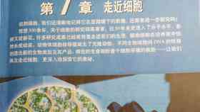 月色短语集锦：诗意表达与情感抒发全攻略