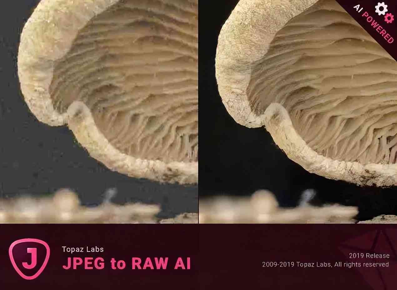 智能AI插件脚本大全：一键与安装教程