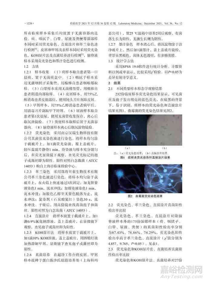 真菌荧光镜检操作流程：实与阳性结果含义解析