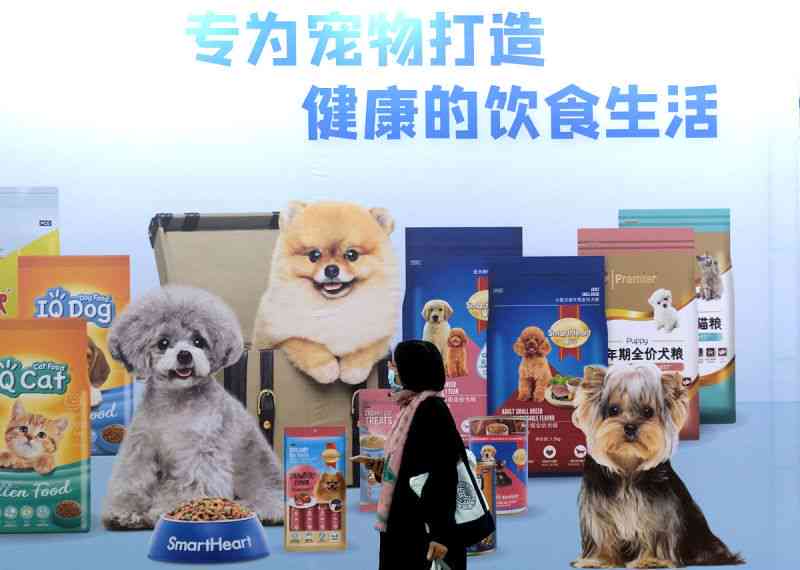 打造吸睛宠物营销：创意文案攻略与关键词融合