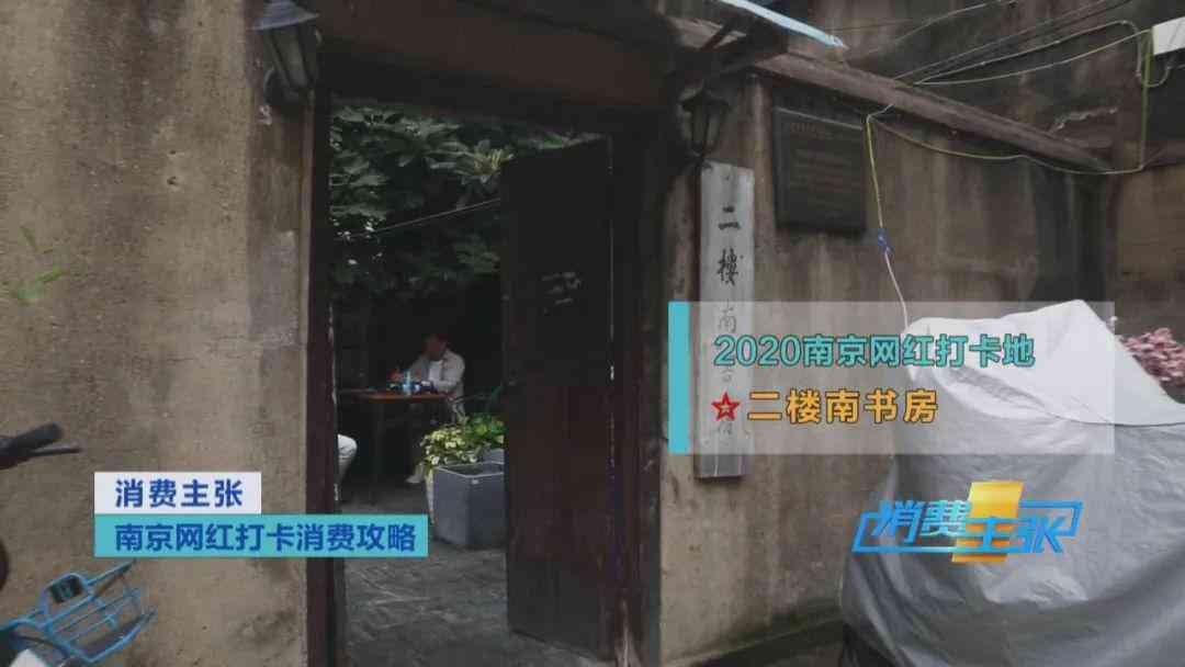 馨治愈：宠物陪伴下的短句心灵疗愈