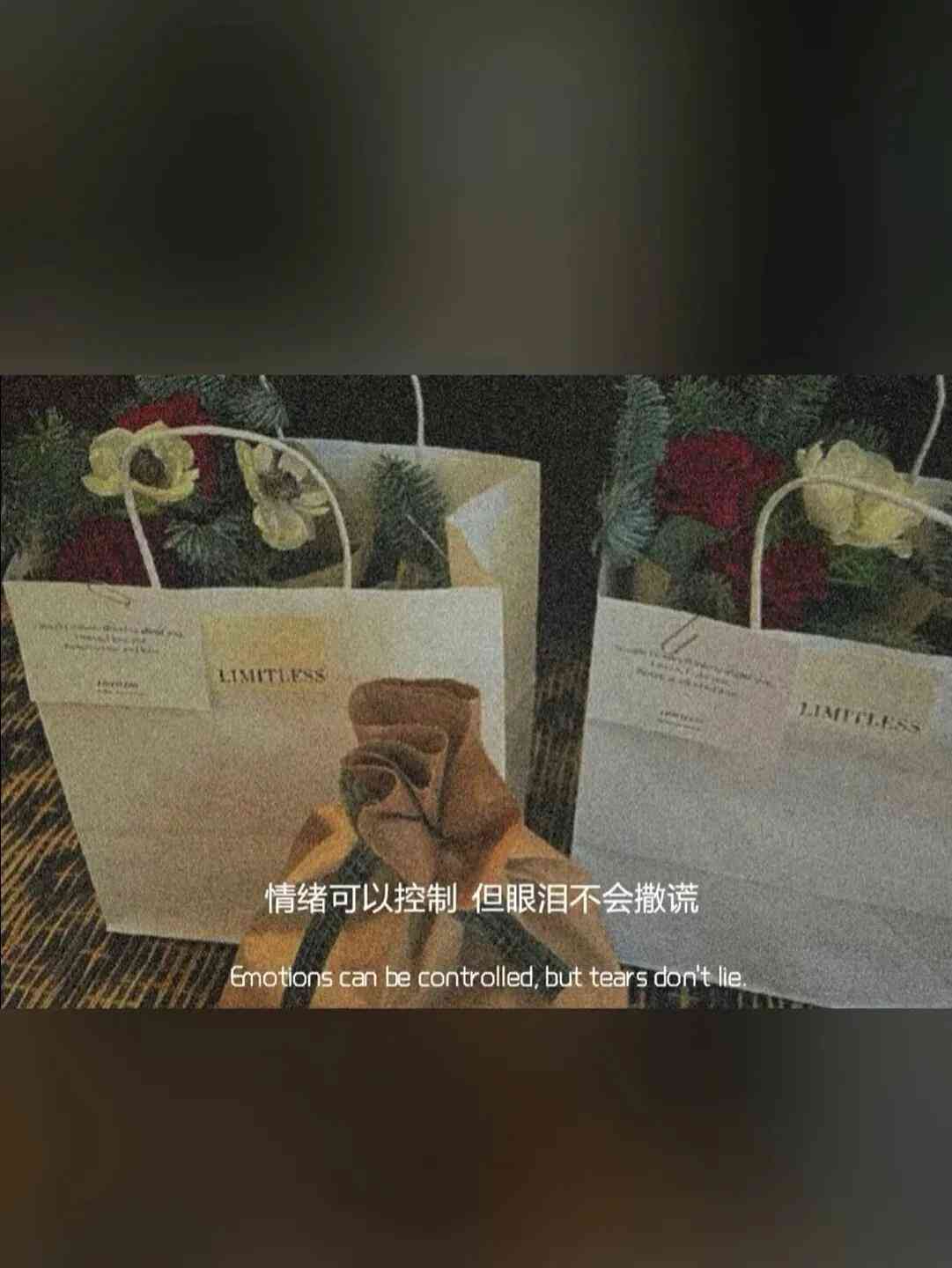 ai风景文案最近最热的软件有哪些：热门软件推荐与风景文案素材集结