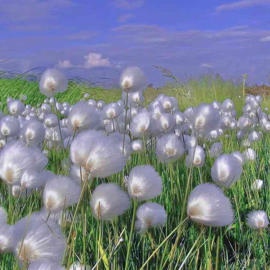 ai风景文案最近最热的软件有哪些：热门软件推荐与风景文案素材集结