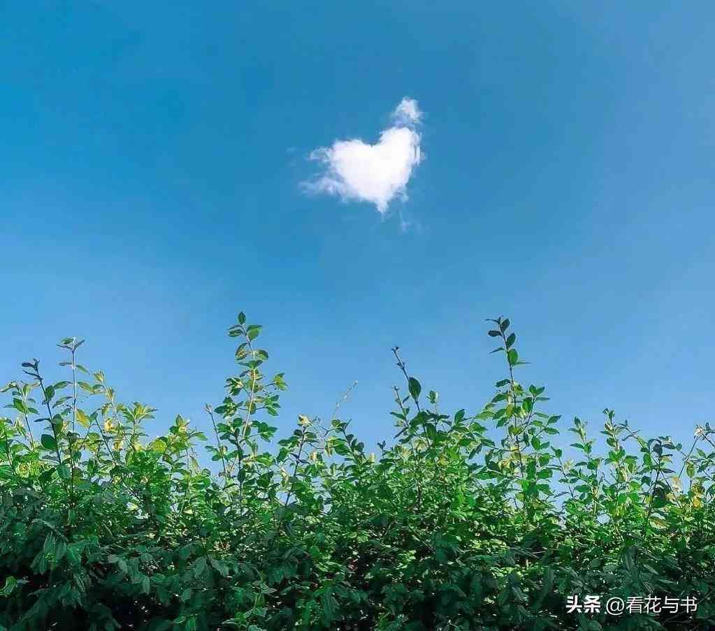 ai风景文案最近最热的软件有哪些：热门软件推荐与风景文案素材集结