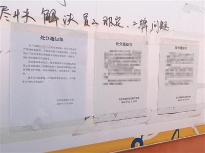 沈阳斑马大规模裁员风波：员工安置引关注