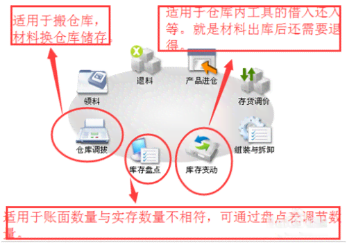 快速掌握速达软件：全方位使用指南与操作教程