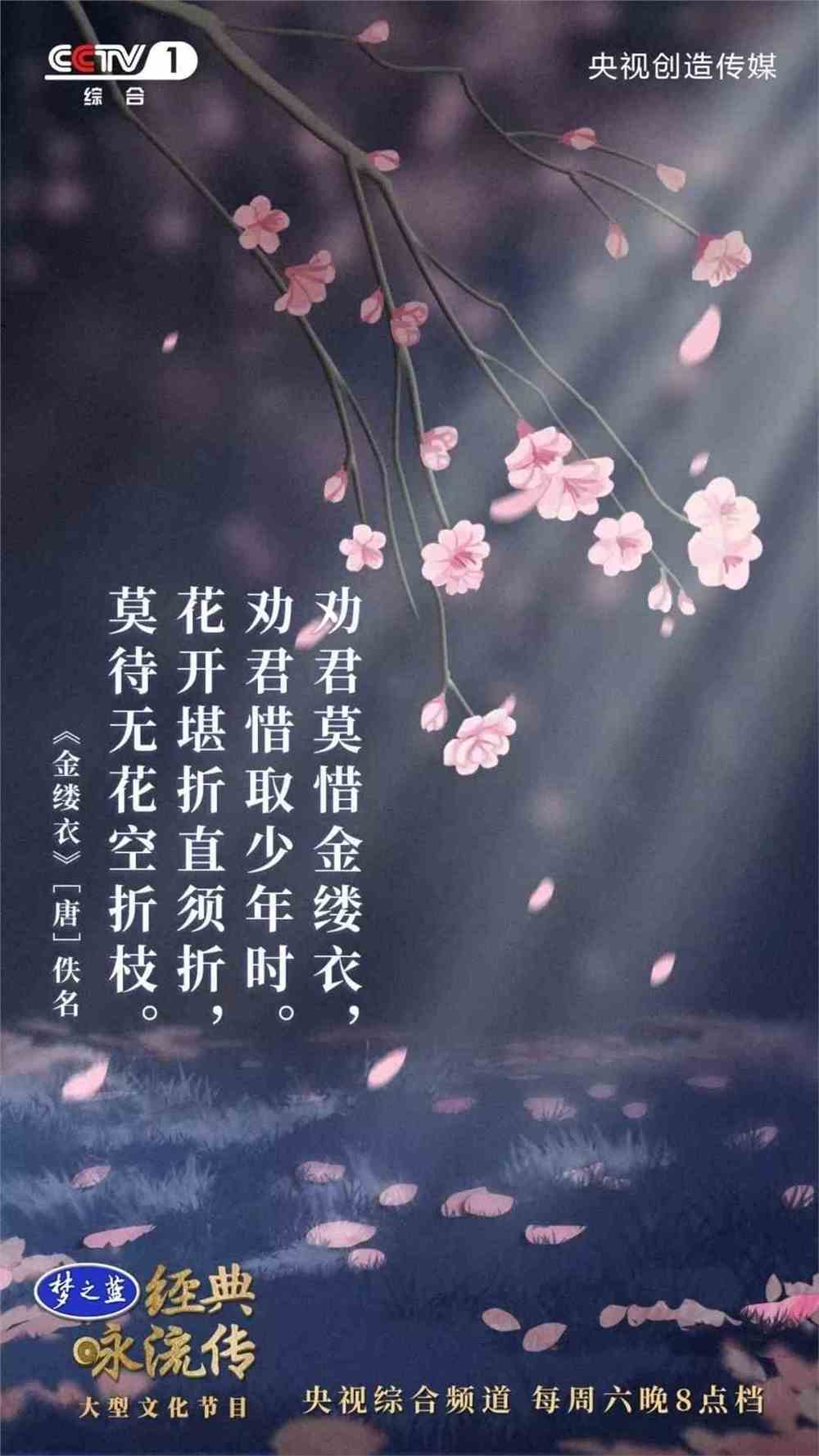 原创花朵：诗词创作·原唱MV播放