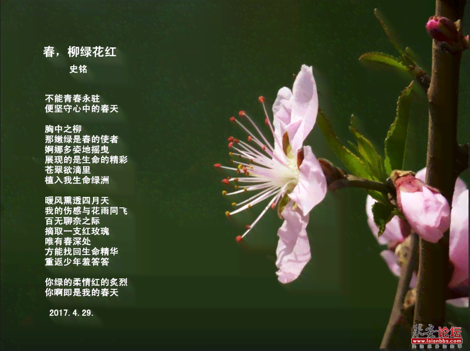 原创花朵：诗词创作·原唱MV播放