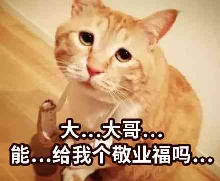 《逆水寒》趣味互动：独家聊天表情包大     