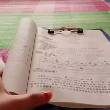 写作猫可以写论文用吗：用它写作真的能赚钱吗？