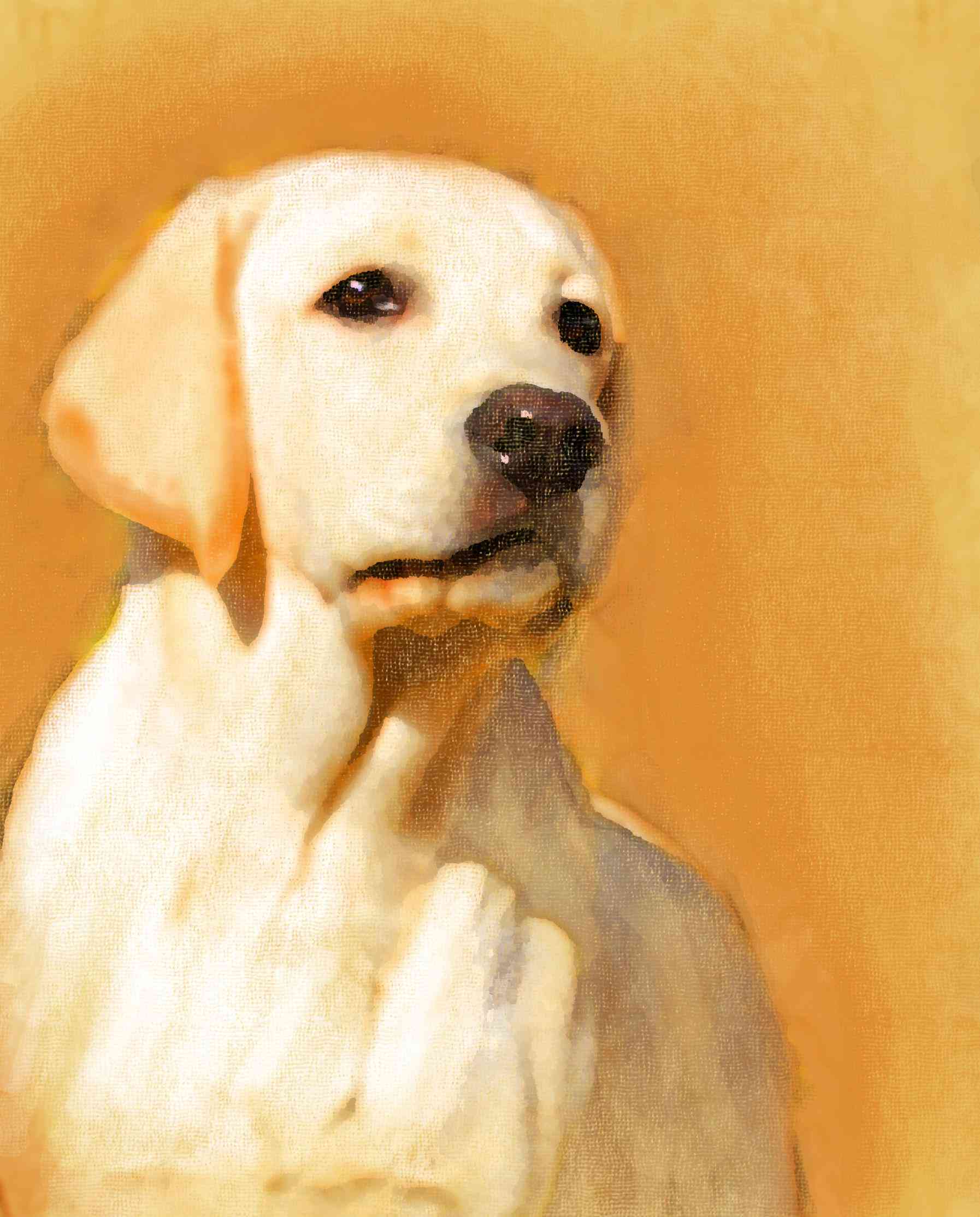 画狗狗：简单画法与热门博主教程，手绘狗全攻略
