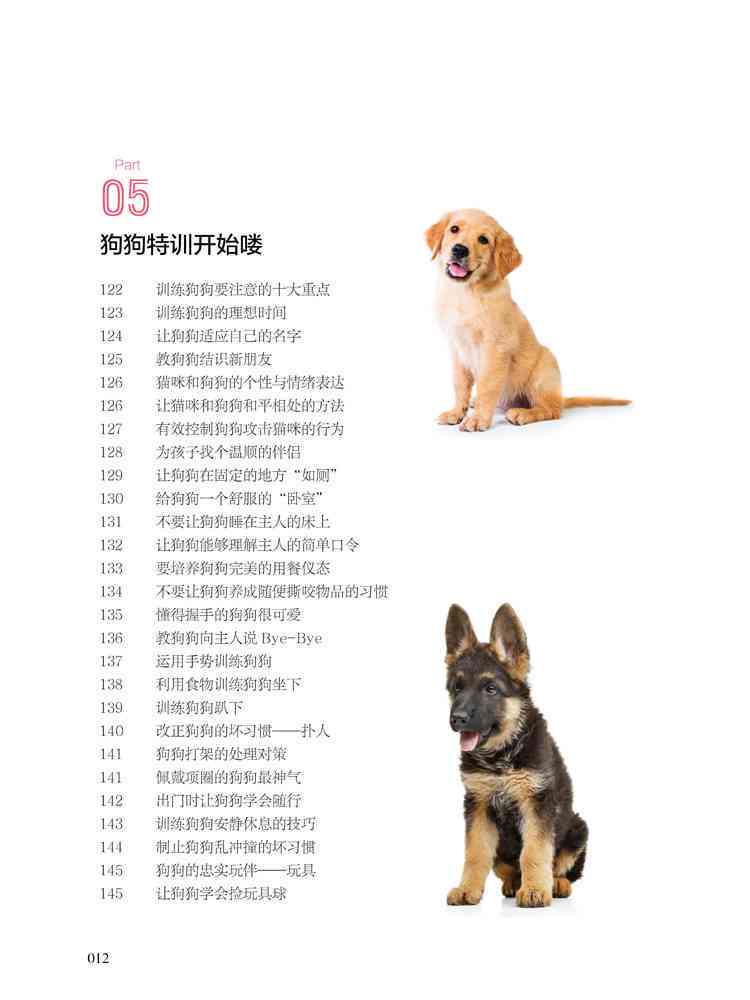 狗狗大全：幽默、教育、情感与生活点滴一站式解读