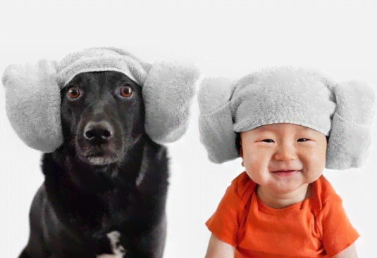 宠物犬形象创作指南：涵性格、造型与表情设计全解析