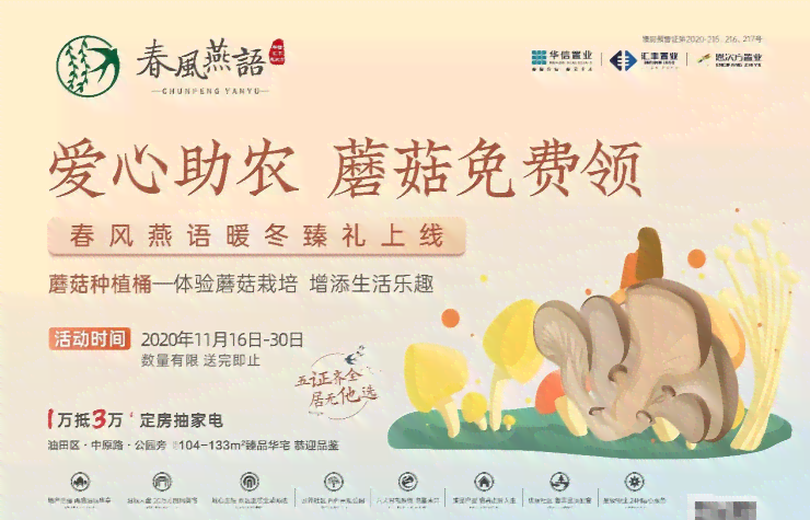 馨话语：爱心早餐传递的暖力量与美好福