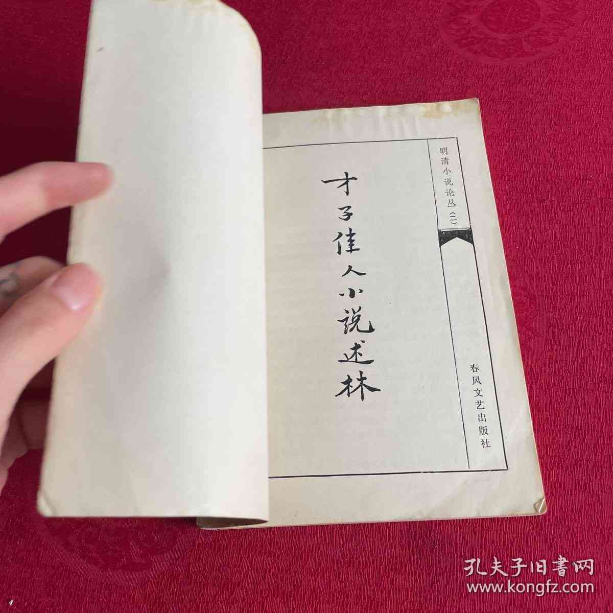 状元笔耕：才子佳文精选