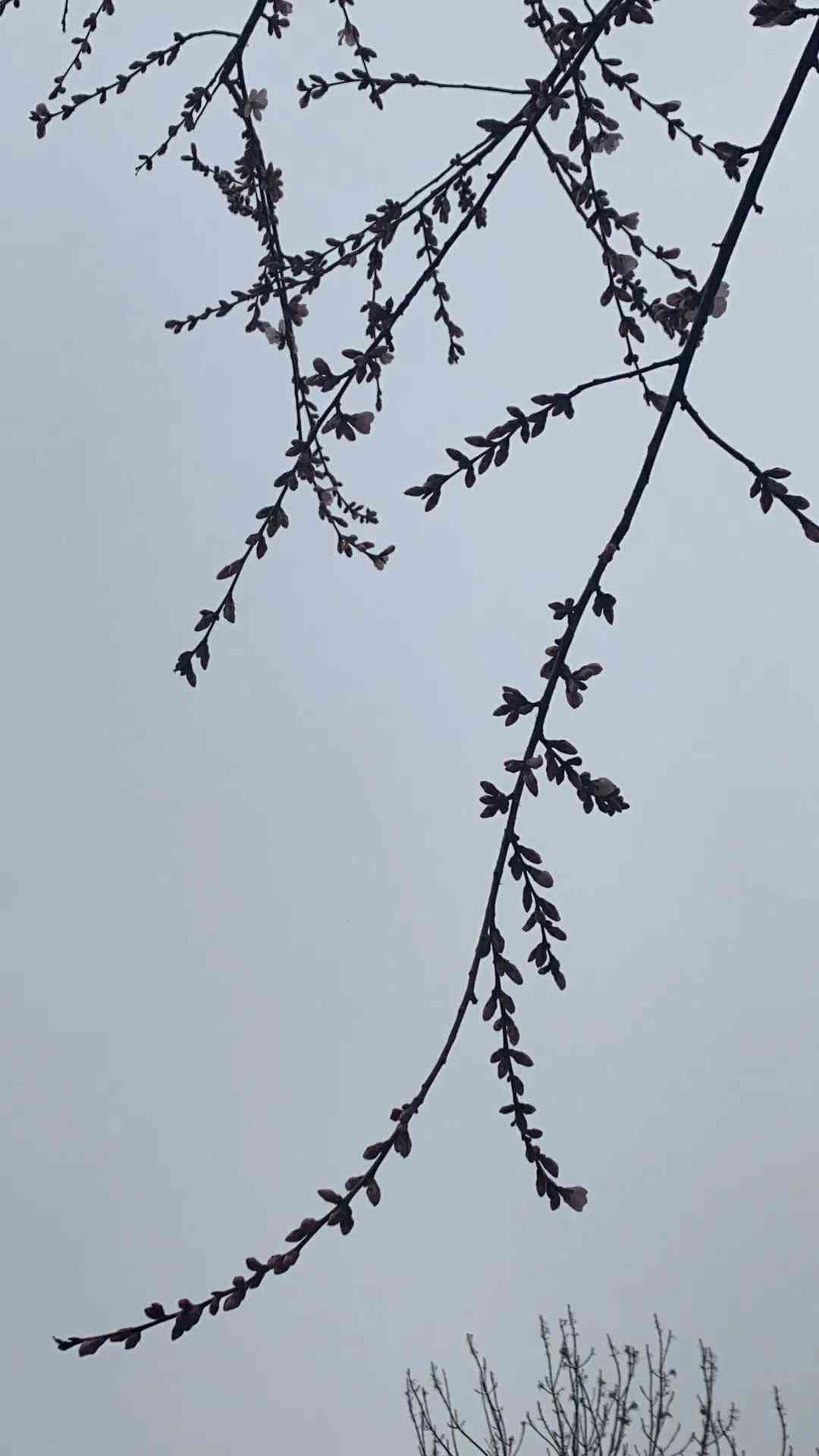 ai写作大师如何操作