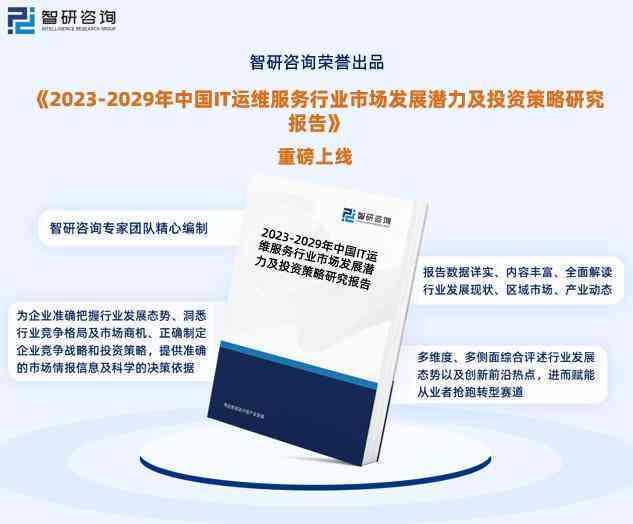 中国AI数据服务行业深度解析：现状、挑战与未来发展趋势分析报告