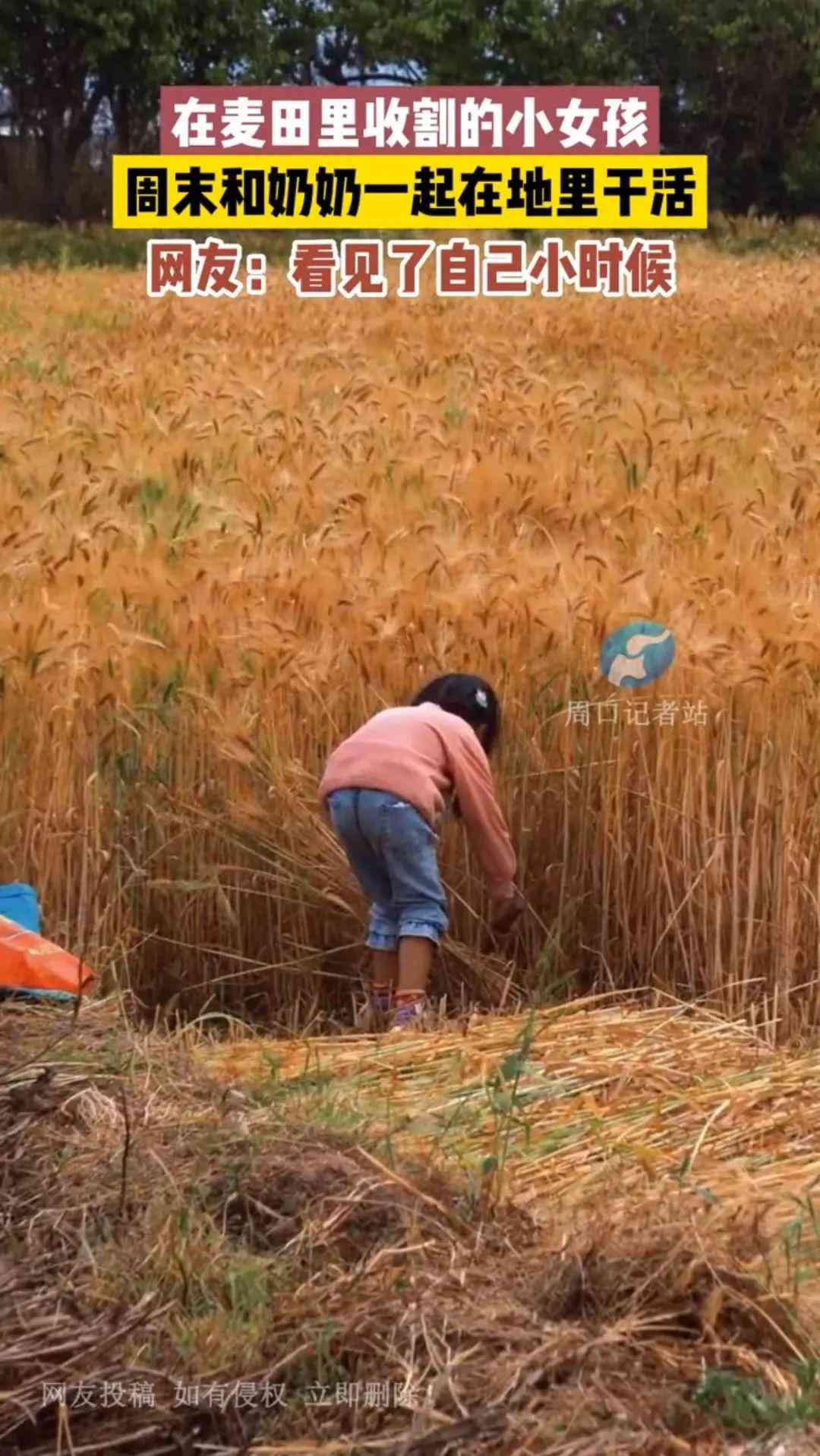 AI文案生成全解析：如何利用人工智能高效撰写各类文案及常见问题解答