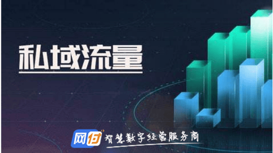 揭秘当下热门：主流私域平台大盘点