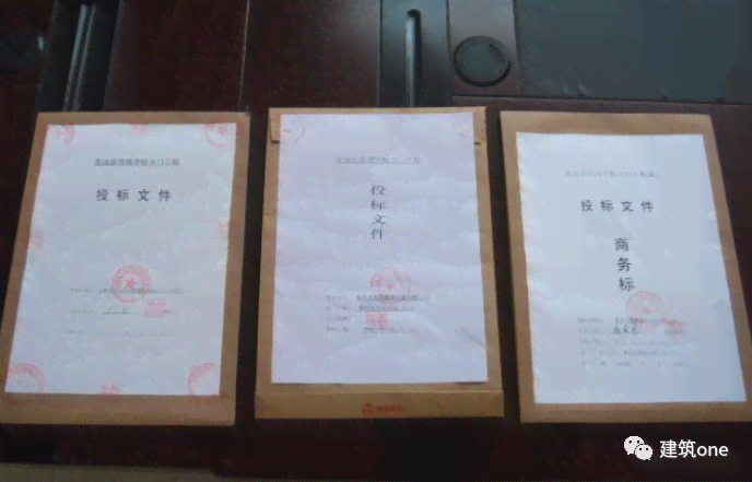 专业标书撰写格式指南与精选范文汇编