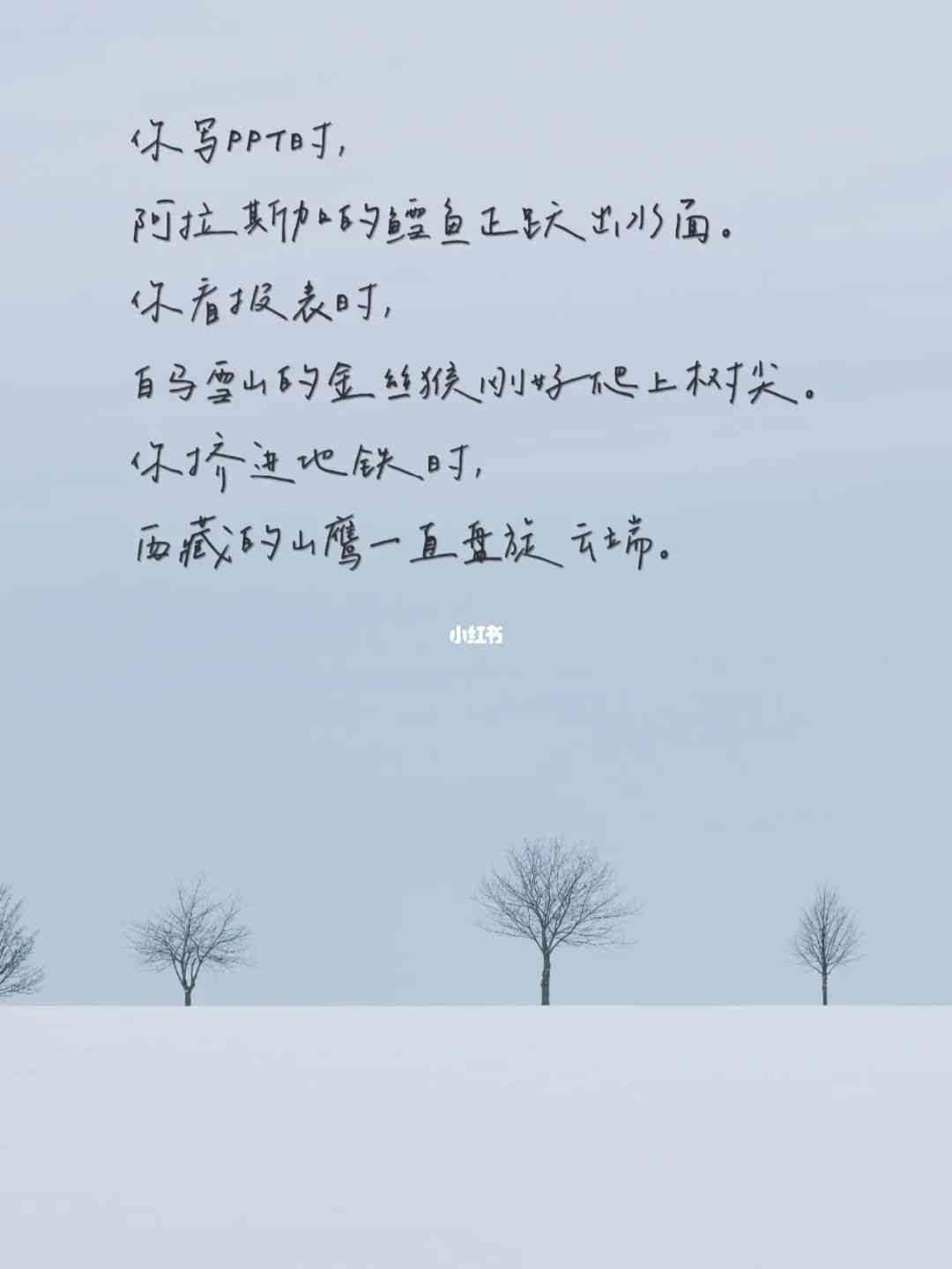 全面汇编：风景写作必备文案素材与灵感集锦