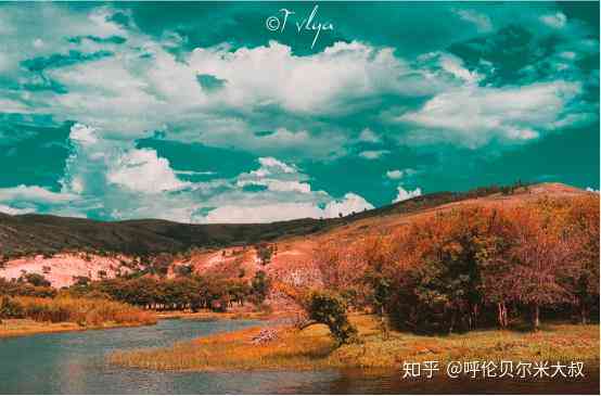 全面汇编：风景写作必备文案素材与灵感集锦
