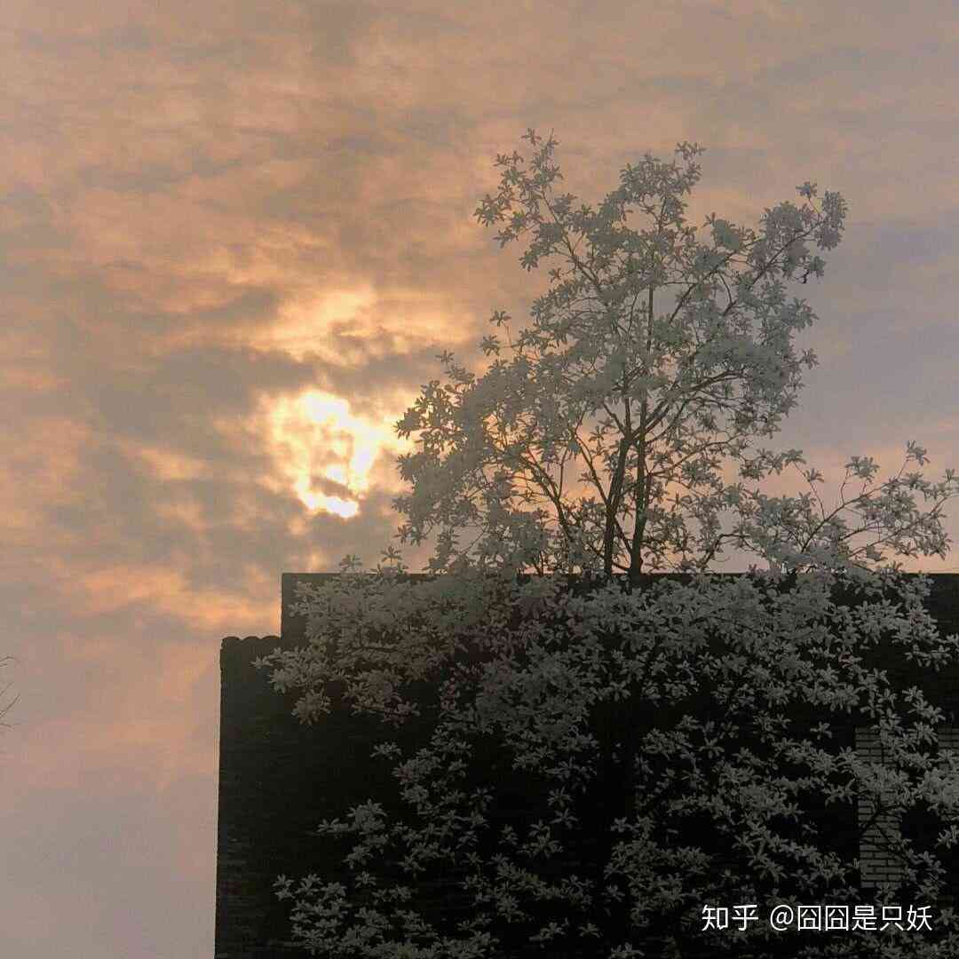 风景文案短句干净治愈感性：高质量柔句子，适合描绘风景的治愈文案