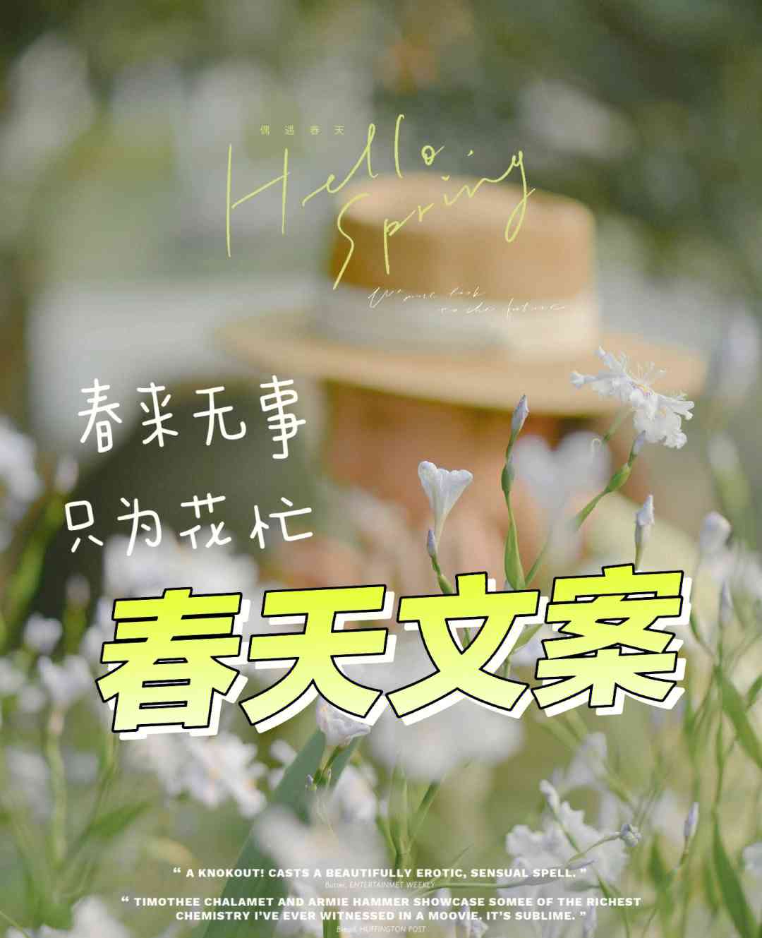 春灸文案：发布朋友圈短句攻略与写作灵感集锦