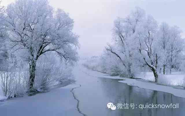 雪中幽森：树林雪景AI绘画创作关键技巧与实践