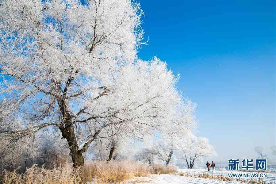 雪中幽森：树林雪景AI绘画创作关键技巧与实践