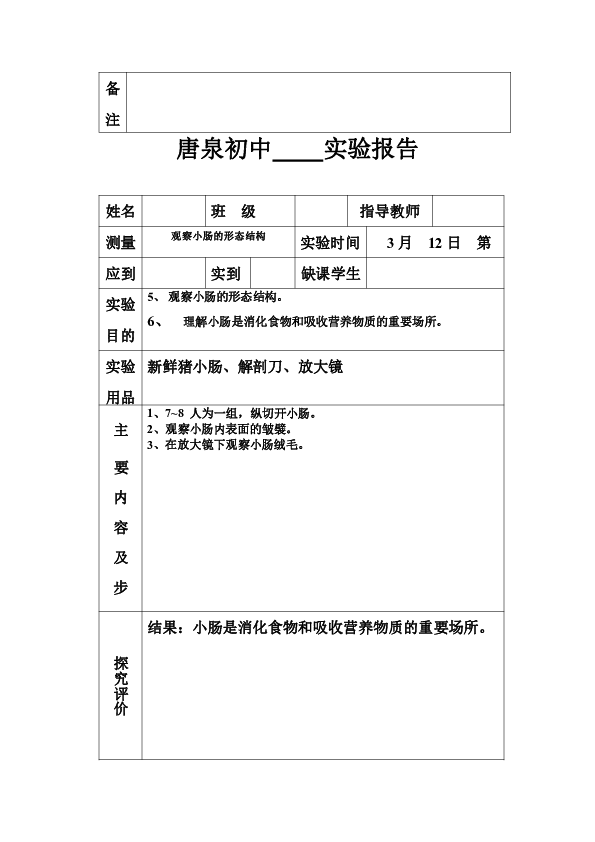 ai实验报告心得感悟