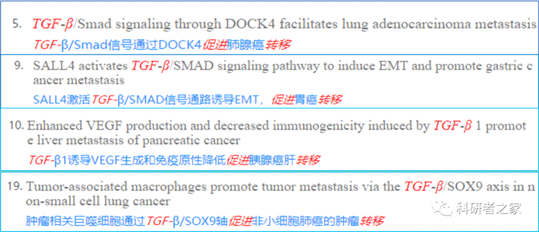 盘点：主流AI作文辅助网站一览及功能特色比较