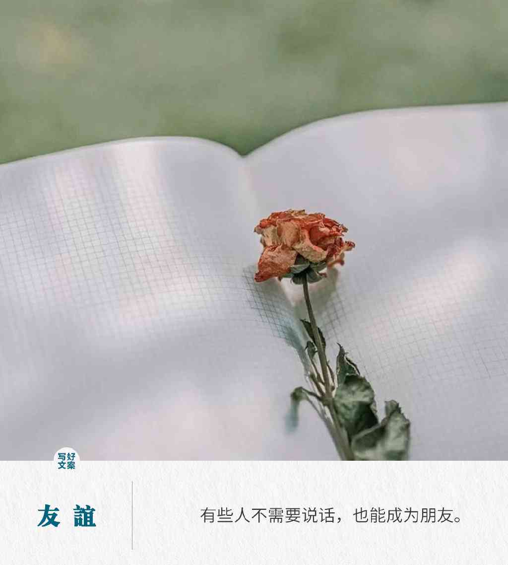 爱朋友文案：唯美短句与说说心情短语集
