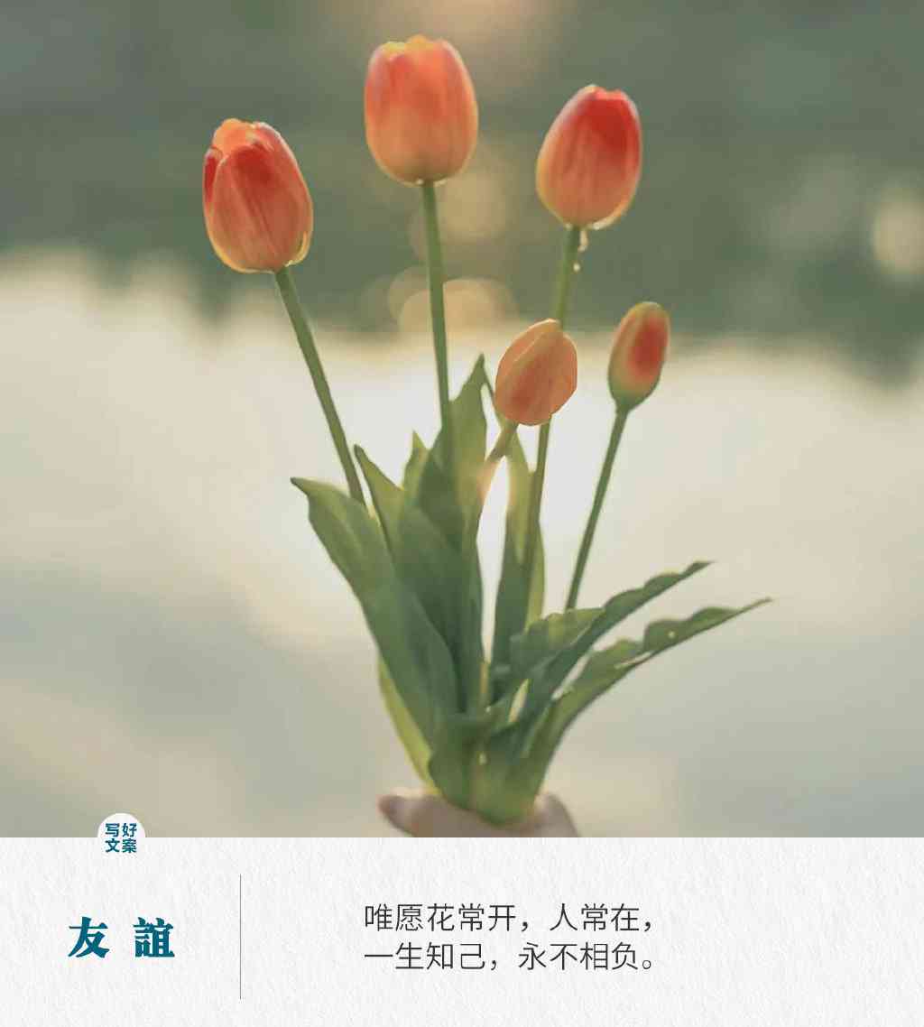 精选朋友间馨文案短句：涵各类情感表达与互动金句